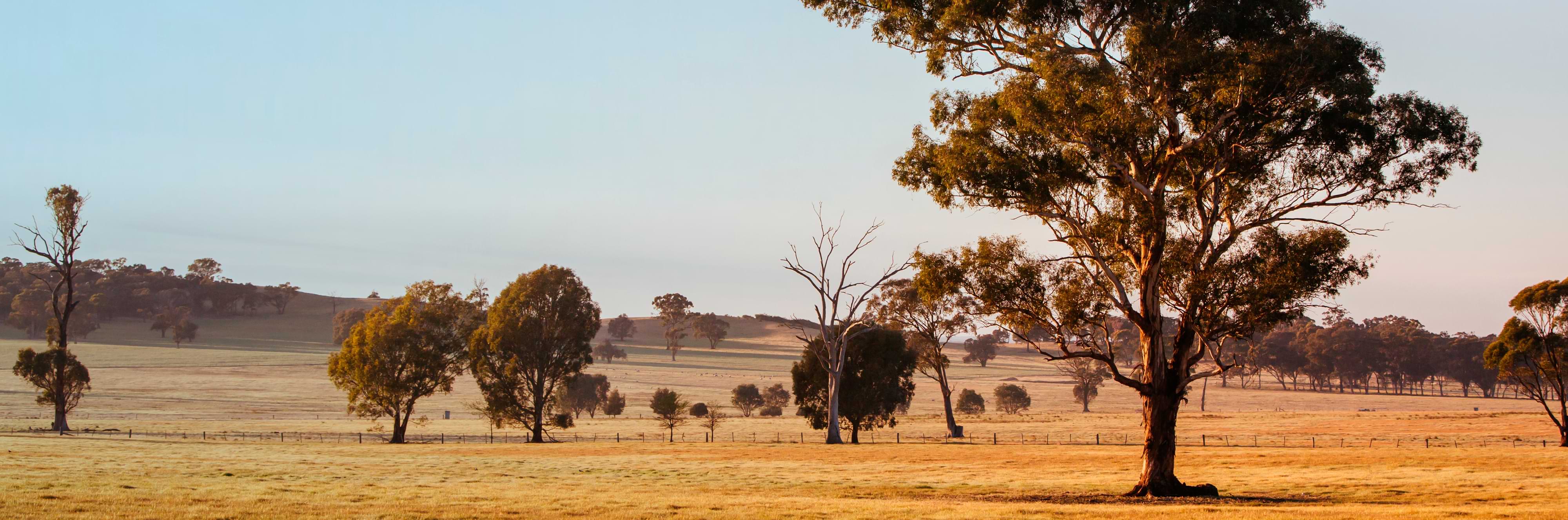 wangaratta-travel-nurse